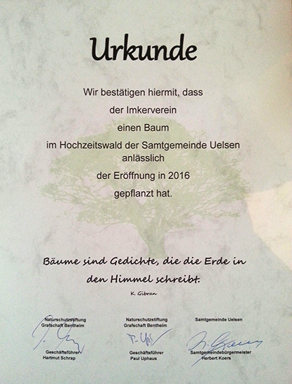 Urkunde für den gepflanzten Baum im Hochzeitswald Uelsen